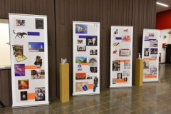 LJBM 5TEENS EXPO (6 sur 92)